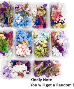 Dry Flowers Assorted Box