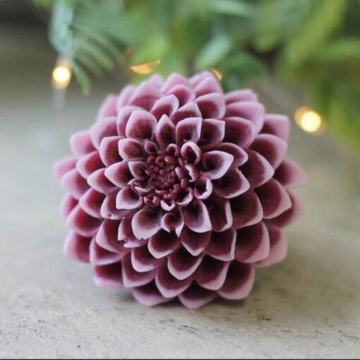 Vedini Dahlia Flower Floral soap Candle Clay Resin Silicone Mold Mould Christmas melt and Pour soap Making Mold, Clay mold /molds, epoxy Resin DIY Crafts AI064