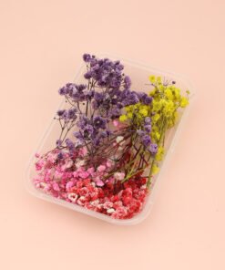 Baby's Breath Flowers